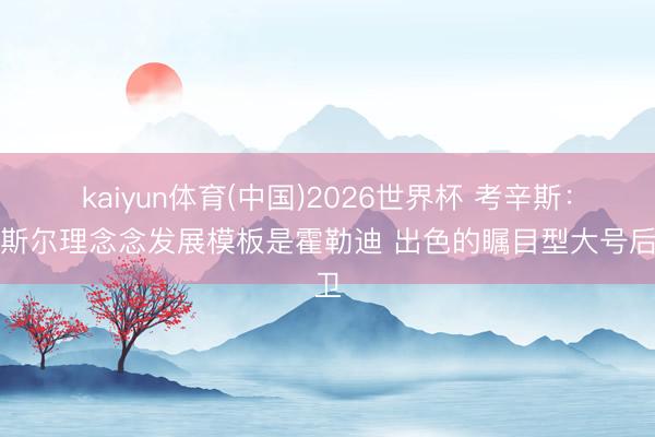 kaiyun体育(中国)2026世界杯 考辛斯：卡斯尔理念念发展模板是霍勒迪 出色的瞩目型大号后卫