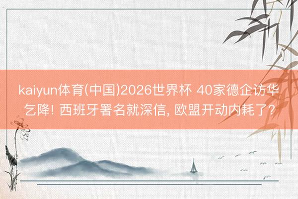 kaiyun体育(中国)2026世界杯 40家德企访华乞降! 西班牙署名就深信， 欧盟开动内耗了?