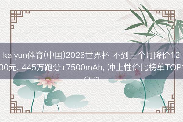kaiyun体育(中国)2026世界杯 不到三个月降价1230元， 445万跑分+7500mAh， 冲上性价比榜单TOP1