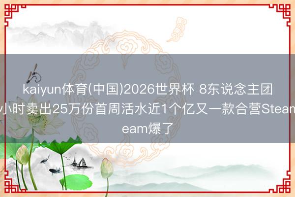 kaiyun体育(中国)2026世界杯 8东说念主团队48小时卖出25万份首周活水近1个亿又一款合营Steam爆了