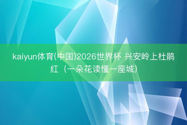 kaiyun体育(中国)2026世界杯 兴安岭上杜鹃红(一朵花读懂一座城)