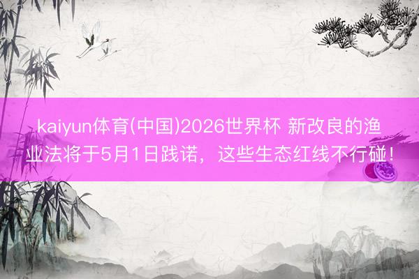 kaiyun体育(中国)2026世界杯 新改良的渔业法将于5月1日践诺,这些生态红线不行碰!